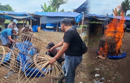 Polresta Banyuwangi Tindak Tegas Dugaan Arena Judi Sabung Ayam dibongkar di Banyuwangi