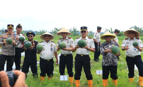 Panen Raya di Lapas Banyuwangi Capai 3 Ton Semangka, Donasikan Sebagian Hasil untuk Bencana Sumatera di Banyuwangi