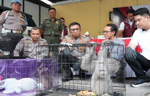 Polresta Sidoarjo Ungkap Perdagangan Ilegal Satwa Dilindungi, Satu Pelaku Ditangkap