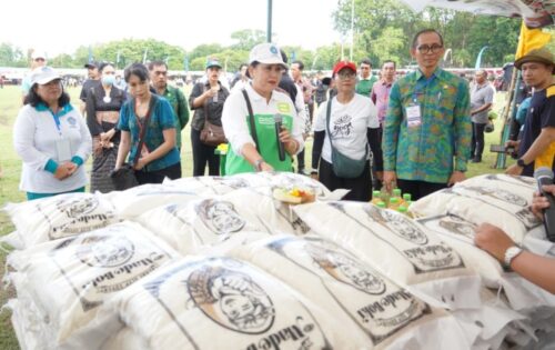 Dorong Ekonomi Lokal, Pasar Rakyat PKK Bali Fasilitasi Stan Gratis bagi 138 UMKM