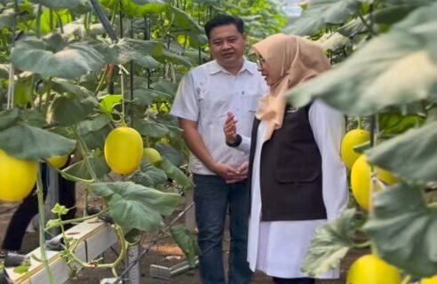 Bupati Ipuk Genjot Program Regenerasi Petani, Anak Muda Banyuwangi Makin Kreatif di Pertanian di Banyuwangi