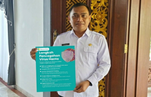 Bali Perkuat Pengawasan dan Kewaspadaan Hantavirus, Dinkes Tegaskan Belum Ada Kasus