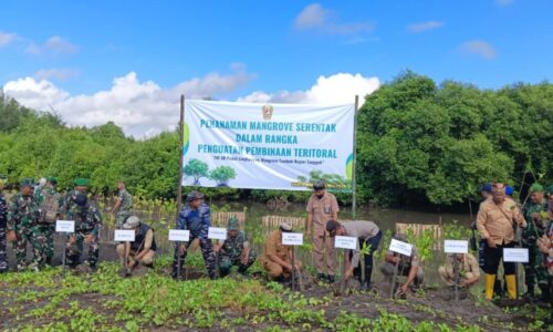 Tanam Mangrove Serentak di Pantai Cemara, Kodim 0825/Banyuwangi Tegaskan Perkuat Ketahanan Lingkungan di Banyuwangi