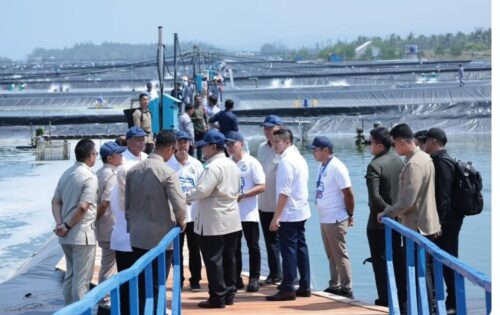 Panen Raya Udang di Kebumen, Presiden Prabowo Prioritaskan Pembangunan Produktif untuk Kesejahteraan Rakyat