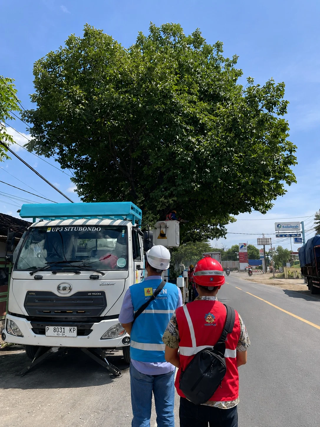 PLN Lakukan Perabasan Pohon di Situbondo untuk Jaga Keandalan Listrik, Libatkan Masyarakat dalam Pengawasan