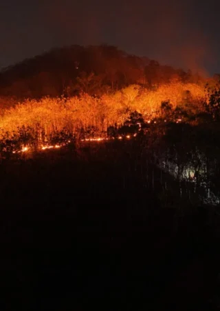 15 Hektar Lahan di Gunung Gombak Ponorogo Terbakar, Api Padam Setelah 8 Jam