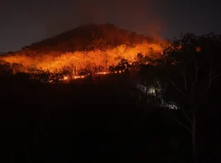 15 Hektar Lahan di Gunung Gombak Ponorogo Terbakar, Api Padam Setelah 8 Jam