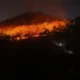 15 Hektar Lahan di Gunung Gombak Ponorogo Terbakar, Api Padam Setelah 8 Jam