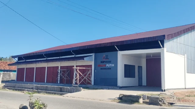 8 Koperasi Desa di Bengkulu Selatan dan Kaur Siap Launching