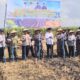 Perkuat Produksi Kedelai Nasional, TNI AL dan Pemkab Banyuwangi Garap Lahan 1.200 Hektare di Banyuwangi