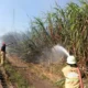 Angin Kencang, Lahan Tebu Milik Warga Hangus Terbakar