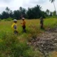 Babinsa dan Warga Sisir Rawan Karhutla, Tegaskan Larangan Bakar Lahan