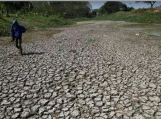 Bangka Selatan Alami Tingkat Kekeringan Lebih Tinggi