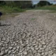 Bangka Selatan Alami Tingkat Kekeringan Lebih Tinggi