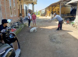 Cegah Penyebaran Rabies, Vaksinasi HPR di Banjar Tangi Diperluas