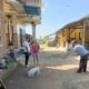 Cegah Penyebaran Rabies, Vaksinasi HPR di Banjar Tangi Diperluas