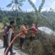 Damkar Padamkan Kebakaran Lahan Seluas 50 Are di Pekutatan
