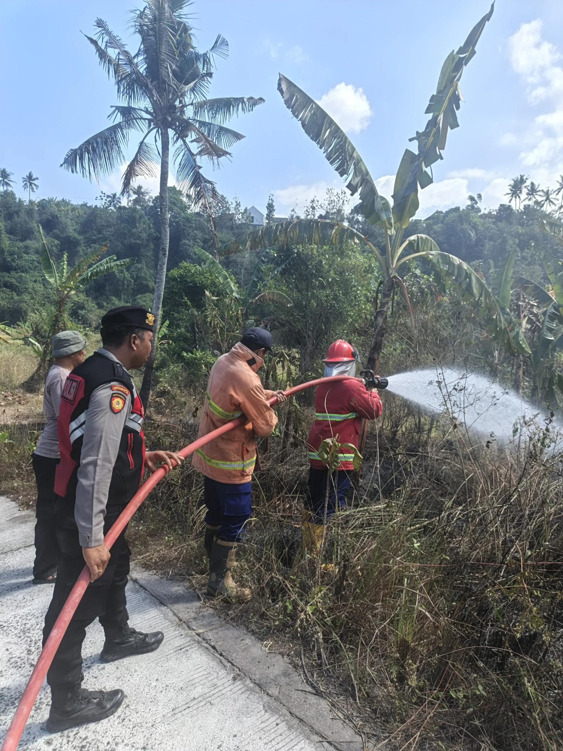 Damkar Padamkan Kebakaran Lahan Seluas 50 Are di Pekutatan
