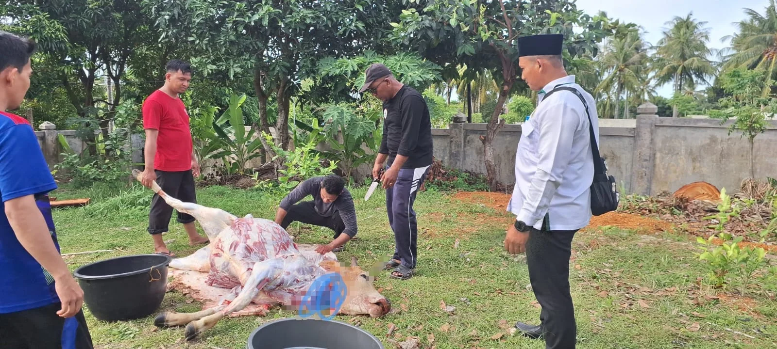 Dari Infak Bersama, MTsN Sabang Gelar Kurban Perdana