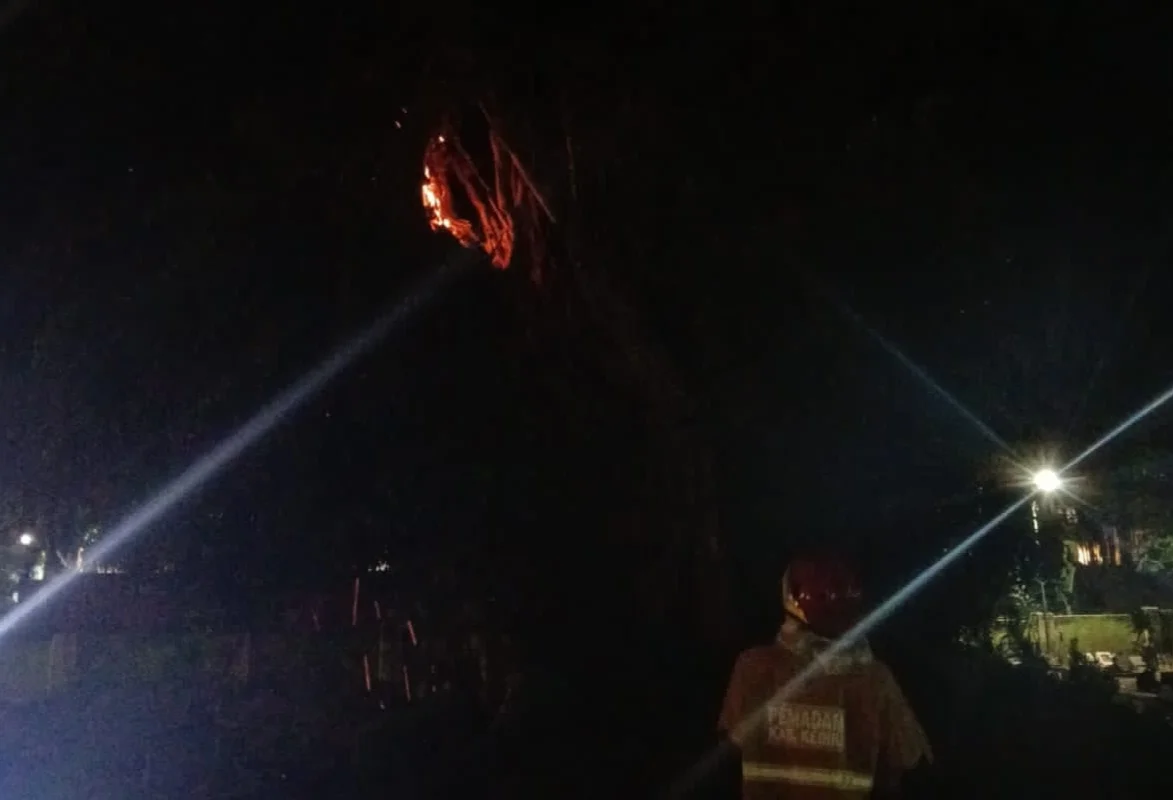 Diduga Ulah ODGJ, Pohon Beringin di Area Makam Ngasem Kediri Terbakar