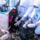 Dinkes Bondowoso Imbau Waspada Leptospirosis, Tujuh Kasus Terjadi hingga Juli 2026