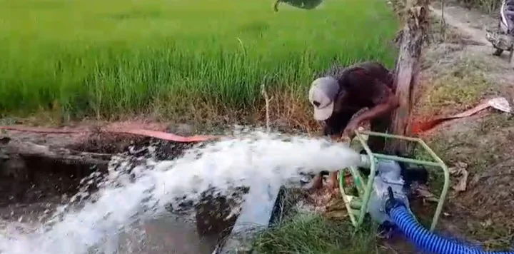 Hadapi Kemarau, Pemkab Batanghari Optimalkan Sumur Bor dan Irigasi Perpompaan