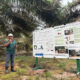 Industri Kelapa Sawit Pangkalan Bun Sumbang Rp 1,7 Triliun ke Negara Tahun Ini
