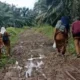 Jalan Rusak jadi Kendala Mobilitas Warga di Kuta Beringin Subulussalam