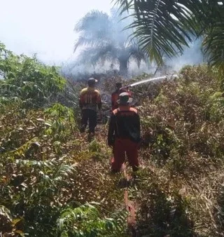 Karhutla Marak di Kotawaringin Barat, Delapan Hektare Lahan Hangus