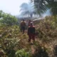 Karhutla Marak di Kotawaringin Barat, Delapan Hektare Lahan Hangus