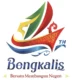 Lutfi Al Fikri Juara Pertama Lomba Desain Logo Hari Jadi Bengkalis ke-415