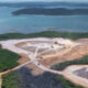 Membangun Tanpa Mengorbankan Mangrove: Pelajaran dari Batam