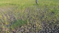 Musim Kemarau Meluas, Hujan Masih Berpotensi Terjadi