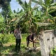 Polsek Batuputih Ajak Warga Aktif Jaga Kamtibmas