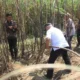 Susun RDTR, Bappeda Malang Pastikan Lahan Baku Sawah Tetap Terlindungi