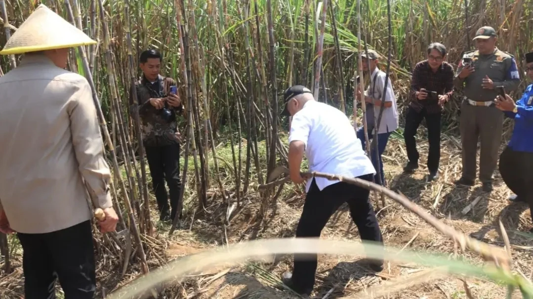 Susun RDTR, Bappeda Malang Pastikan Lahan Baku Sawah Tetap Terlindungi