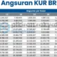 Tabel Angsuran KUR BRI Juli 2026: Simulasi Cicilan Pinjaman Rp 1-500 Juta