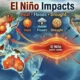 Udara Pagi Terasa Lebih Dingin, Benarkah karena El Nino?