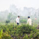 64 Ribu Hektare Hutan dan Lahan Terbakar, Polri 62 Persen Berhasil Dikendalikan