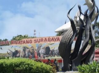 Kebun Binatang Surabaya (KBS)