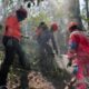 Tanggap Bencana Karhutla TN Bromo Tengger Semeru, Pemkot Surabaya Terjunkan Tim DPKP