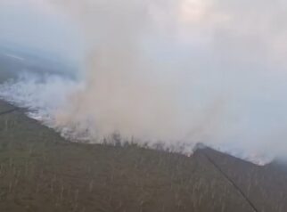 Ribuan Hotspot Karhutla Terdeteksi di Kalimantan dan Sumatera, BNPB: Pemadaman Terkendala Sumber Air