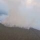 Ribuan Hotspot Karhutla Terdeteksi di Kalimantan dan Sumatera, BNPB: Pemadaman Terkendala Sumber Air