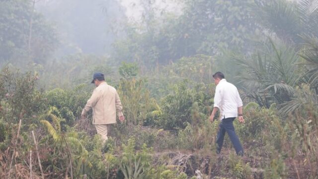 Polri: 39.959 Hektare Lahan Karhutla Berhasil Dikendalikan, 72 Orang Jadi Tersangka