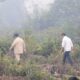 Polri: 39.959 Hektare Lahan Karhutla Berhasil Dikendalikan, 72 Orang Jadi Tersangka