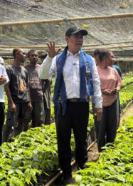 Beri Bibit Kakao-Kelapa, Mentan Yakin Bisa untuk Pengentasan Kemiskinan di Alor