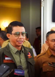 DPR Mendesak Pemerintah Pusat Ambil Alih Penanganan Karhutla, Soroti Kapasitas Fiskal BNPB