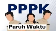 Ilustrasi PPPK Paruh Waktu