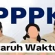 Ilustrasi PPPK Paruh Waktu