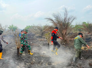 Karhutla Jambi Capai 300 Hektare, Gubernur Ajak Warga Salat Minta Hujan